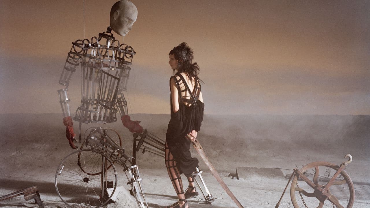 La felicità in tempo di guerra: tra sensi di colpa e diritto di vivere