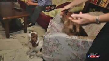 Pet economy italiana: mercato da 6,7 miliardi nel 2024