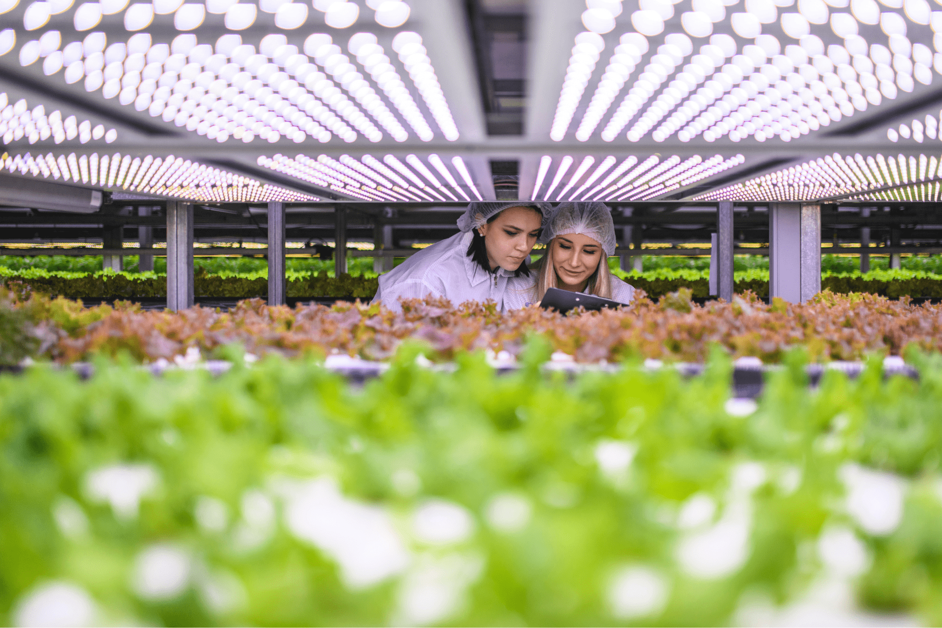 Fertilizzanti, l'Iran minaccia lo Stretto di Hormuz: rischio rincari +46%